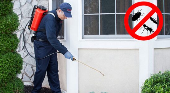 Bodrum Haşere İlaçlama böcek ilaçlama ve haşere kontrolü — ilaclama-tr.com
